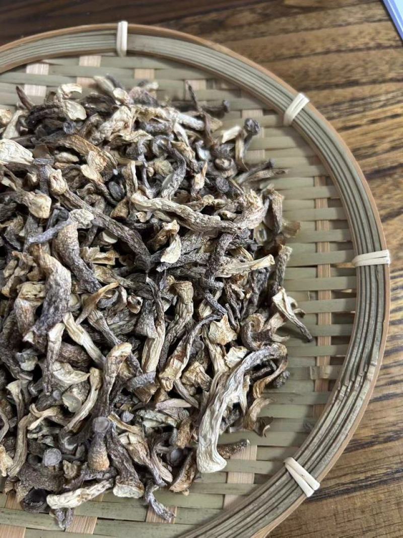 鹿茸菇嫩仔厂家直发货源充足保质保量欢迎联系
