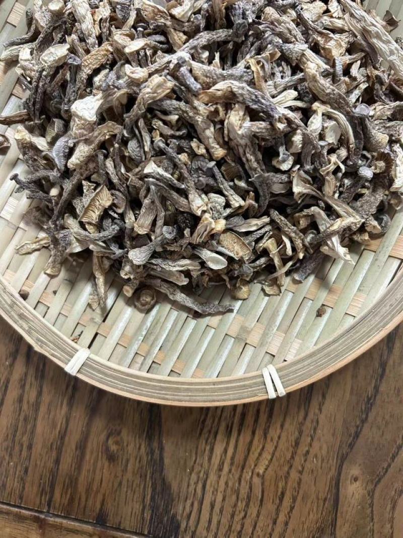 鹿茸菇嫩仔厂家直发货源充足保质保量欢迎联系