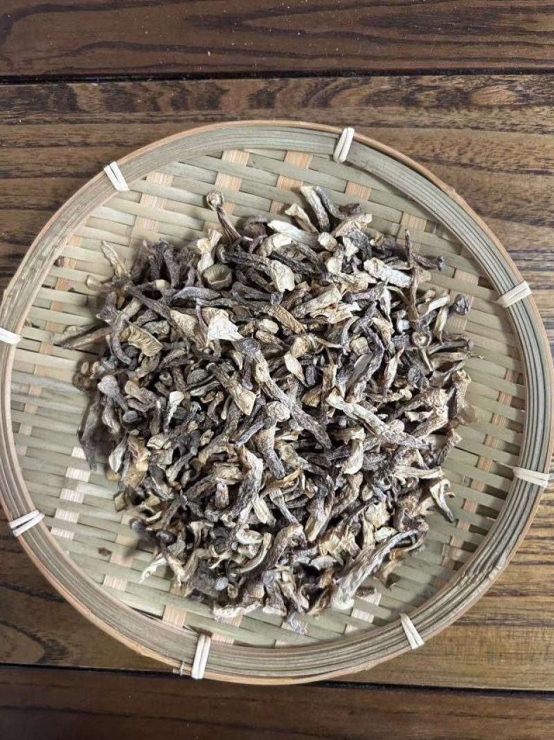 鹿茸菇嫩仔厂家直发货源充足保质保量欢迎联系