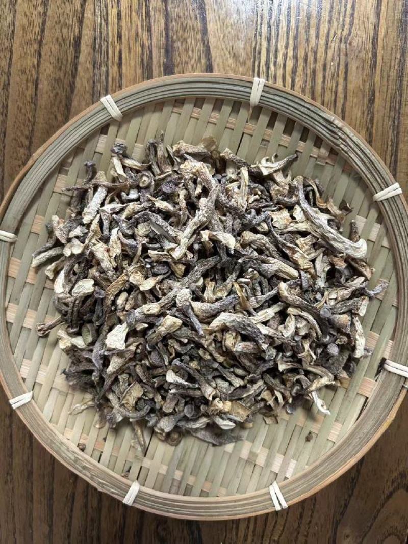 鹿茸菇嫩仔厂家直发货源充足保质保量欢迎联系
