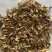 鹿茸菇嫩仔厂家直发货源充足保质保量欢迎联系