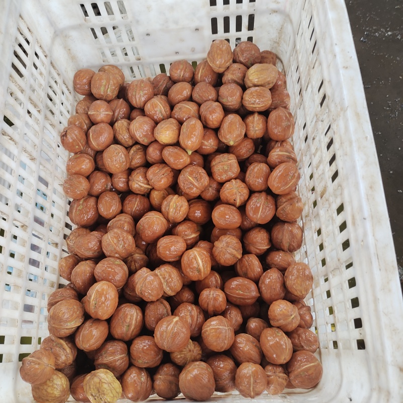 鲜核桃脱皮鲜核口感好籽仁饱满