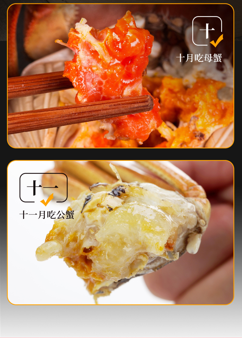 苏霸王阳澄湖大闸蟹1588型公4.0两母3.0两8只装