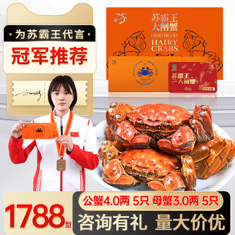 苏霸王阳澄湖大闸蟹1788型公4.0两母3.0两10只装