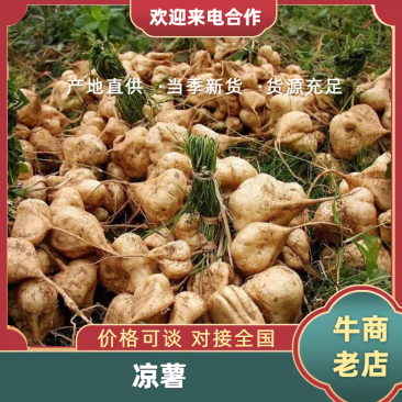 湖北荆门凉薯地瓜一手货源全国发货保质保量