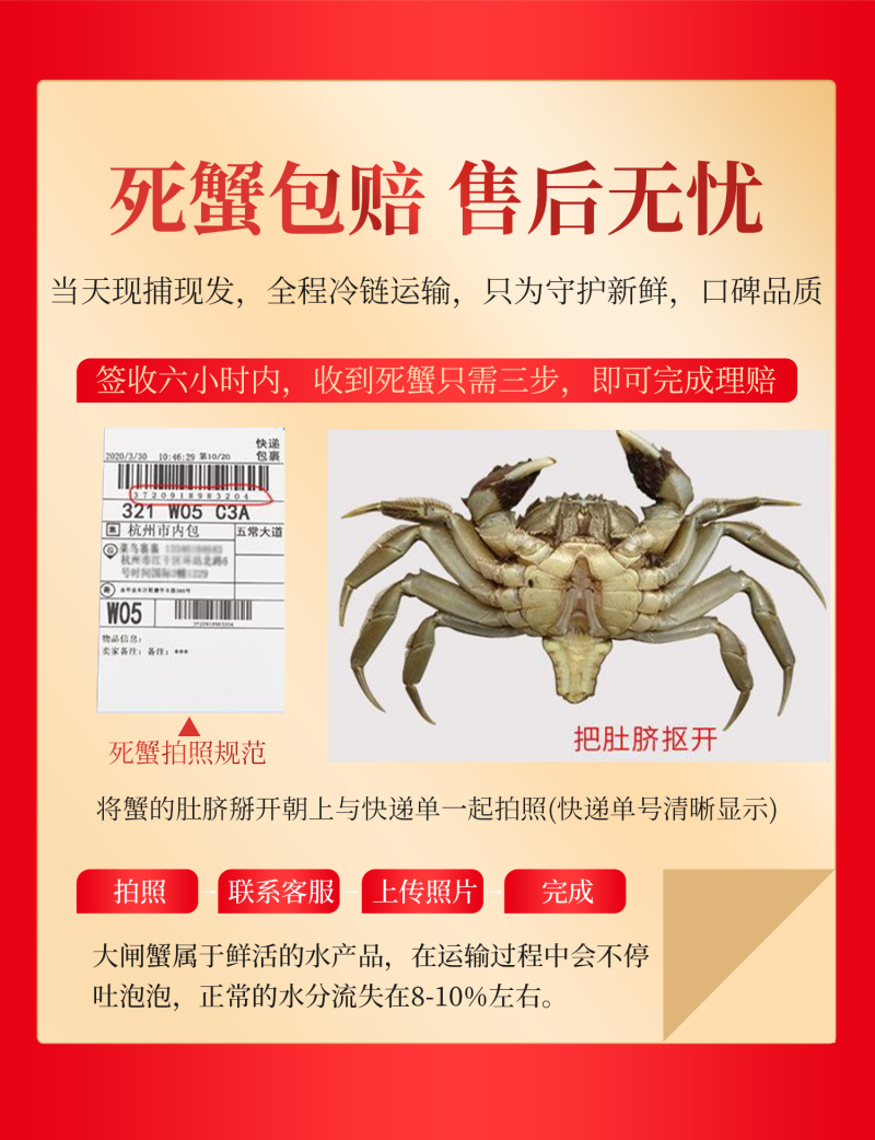 苏霸王阳澄湖大闸蟹2088型公4.5两母蟹4.5两8只装