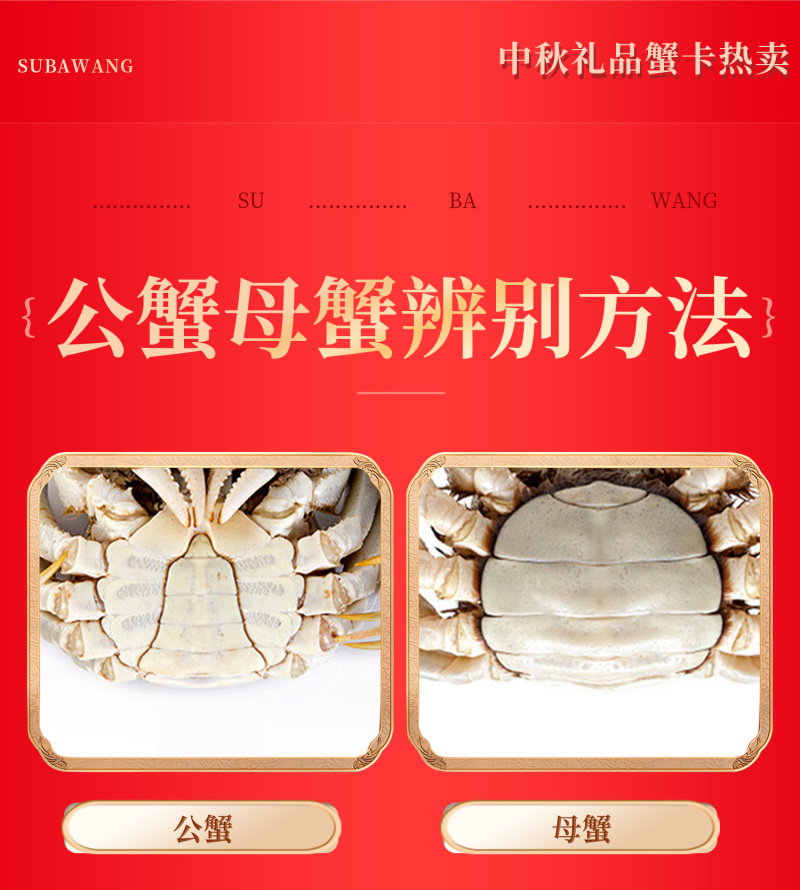 苏霸王阳澄湖大闸蟹2088型公4.5两母蟹4.5两8只装