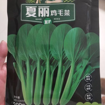 夏丽鸡毛菜种子，耐热耐湿，纯度高，梗绿叶翠绿，口感好
