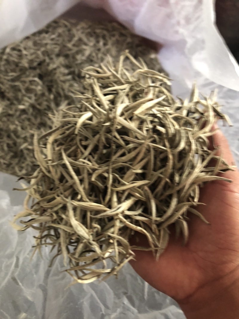 云南白茶景谷大白茶白毫银针月光白