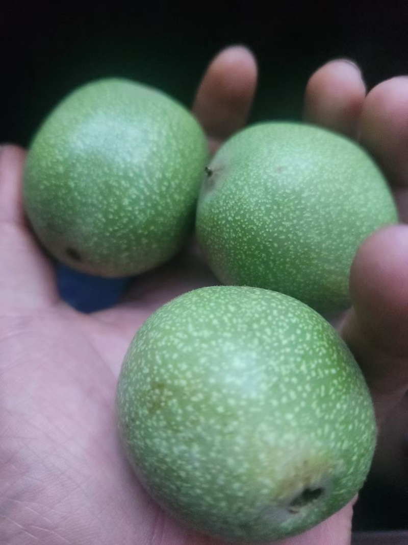 棍打货几毛钱电商可来