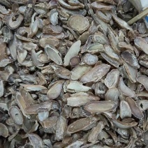 中药材老牌子郁金香马蒁黄郁优质郁金郁金