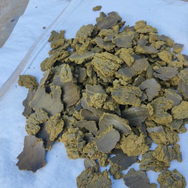 厂家直销棉籽饼，保证质量，量大价格优惠，