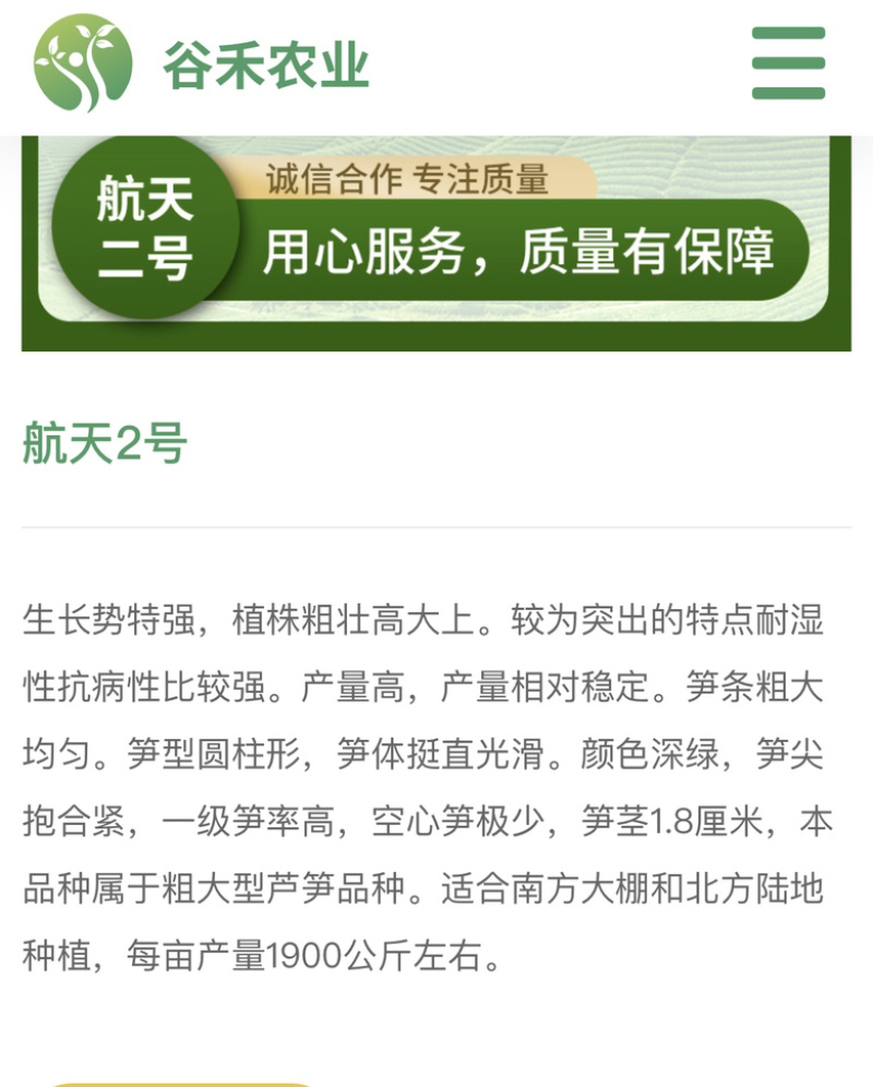 航天2号杂交一代芦笋种子粗壮高产抗病性强