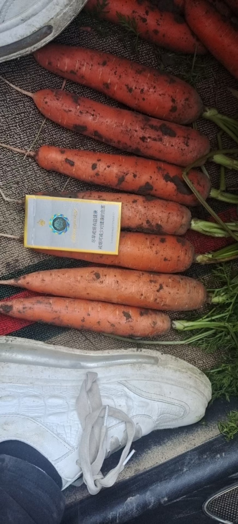 【三红胡萝卜】河南胡萝卜净菜毛菜都有全国接单提供包装按需
