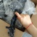 乌鸡9-10只