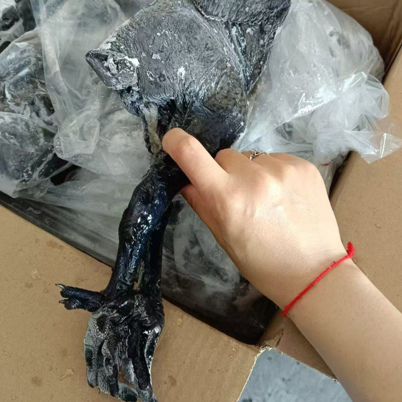 乌鸡9-10只