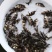岩原鲤鱼苗批发，大量出售各种高档鱼苗，品种优良全国发货。