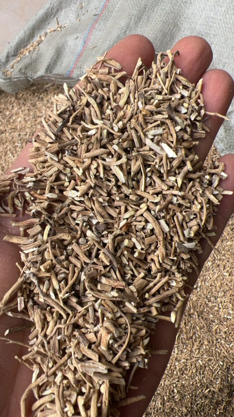 黄芪热卖中正宗现货秒发欢迎电话咨询详情