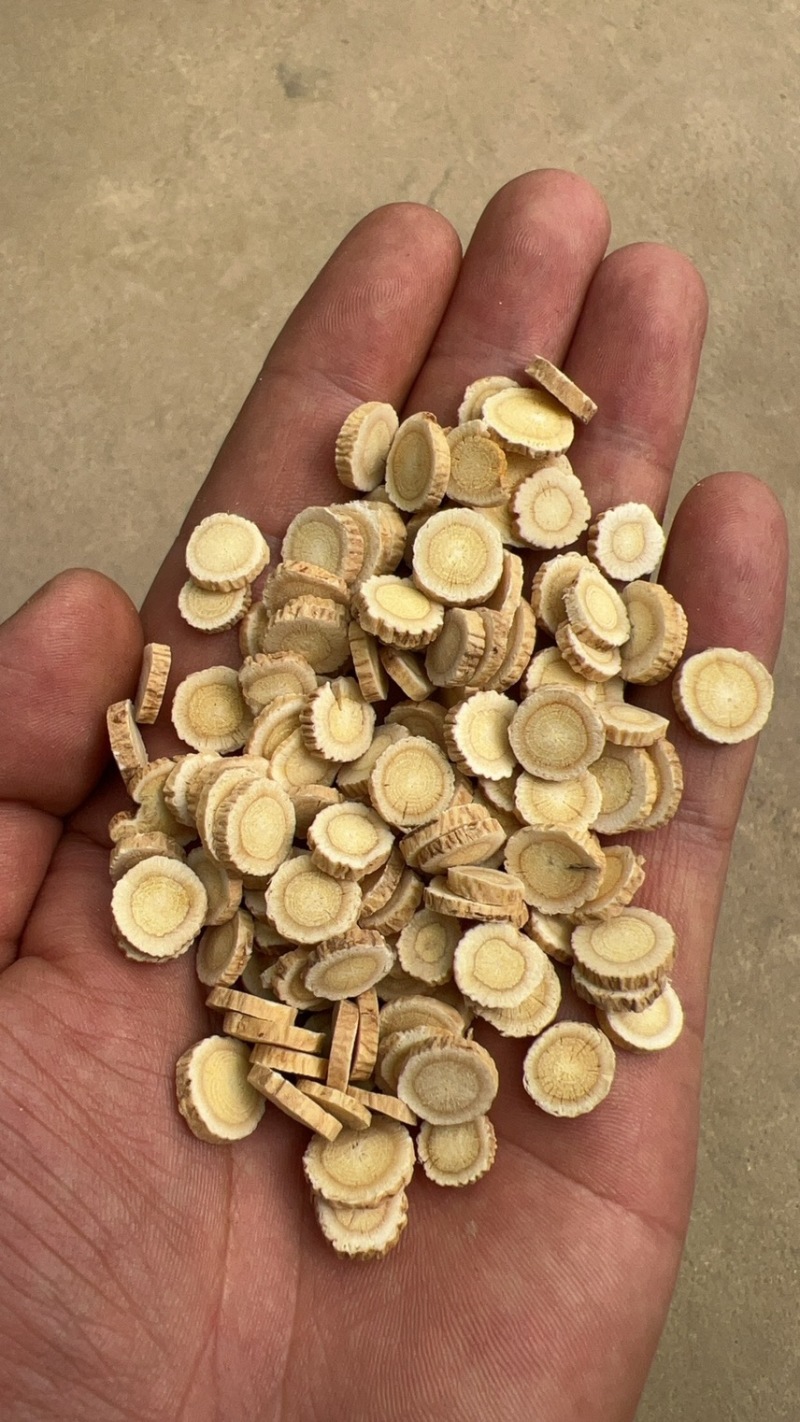 黄芪热卖中正宗现货秒发欢迎电话咨询详情