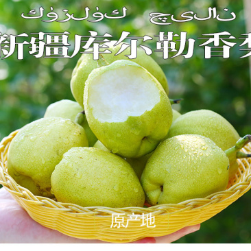 一件代发：新疆库尔勒香梨，大量有货，对接全国市场电商平台