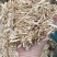 大量出售二次加工风选揉丝除尘小麦秸秆