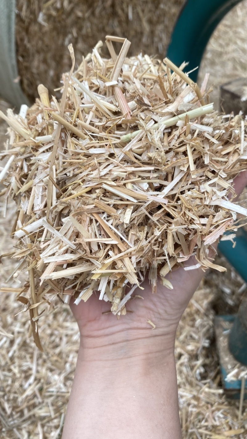 大量出售二次加工风选揉丝除尘小麦秸秆