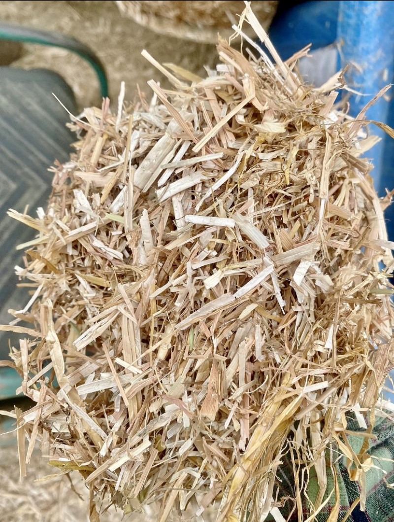大量出售二次加工风选揉丝除尘小麦秸秆