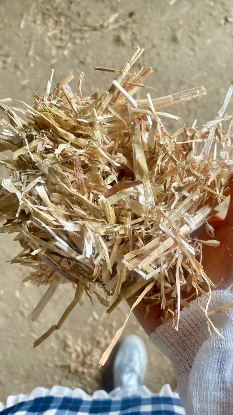 大量出售二次加工风选揉丝除尘小麦秸秆
