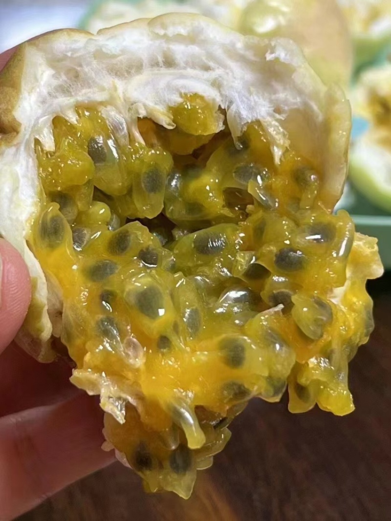广西百香果/产地直发/一件起批/量大价优/欢迎