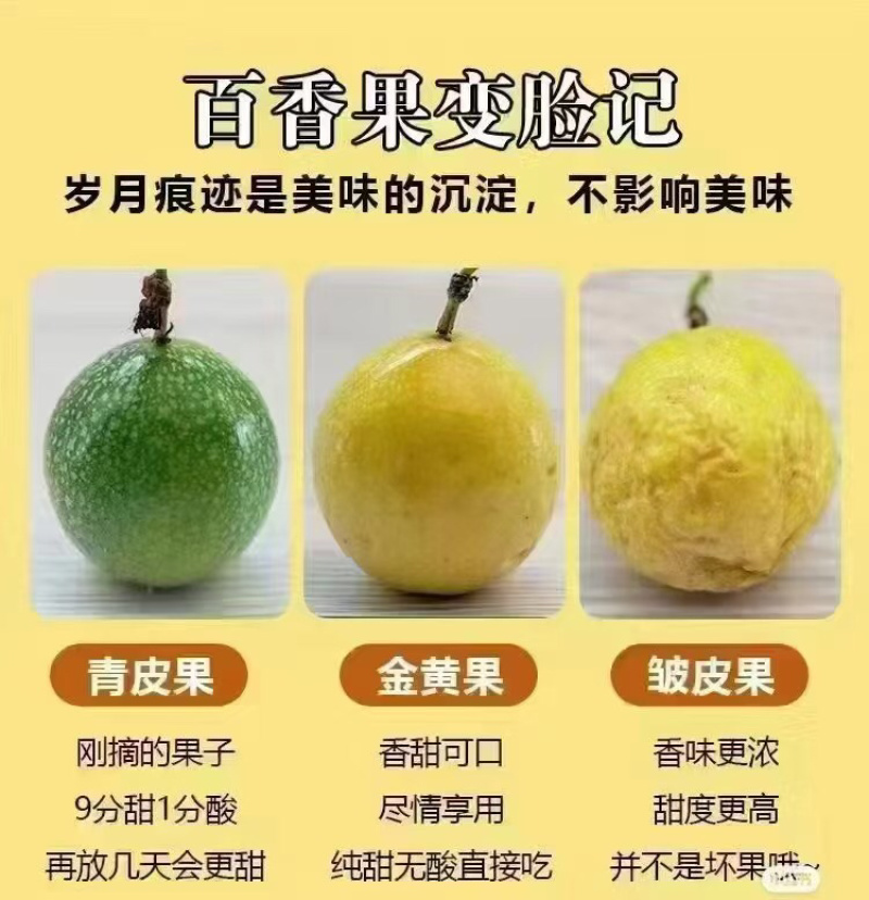 广西百香果/产地直发/一件起批/量大价优/欢迎