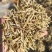 风选花生秧草段、无土无膜量大从优