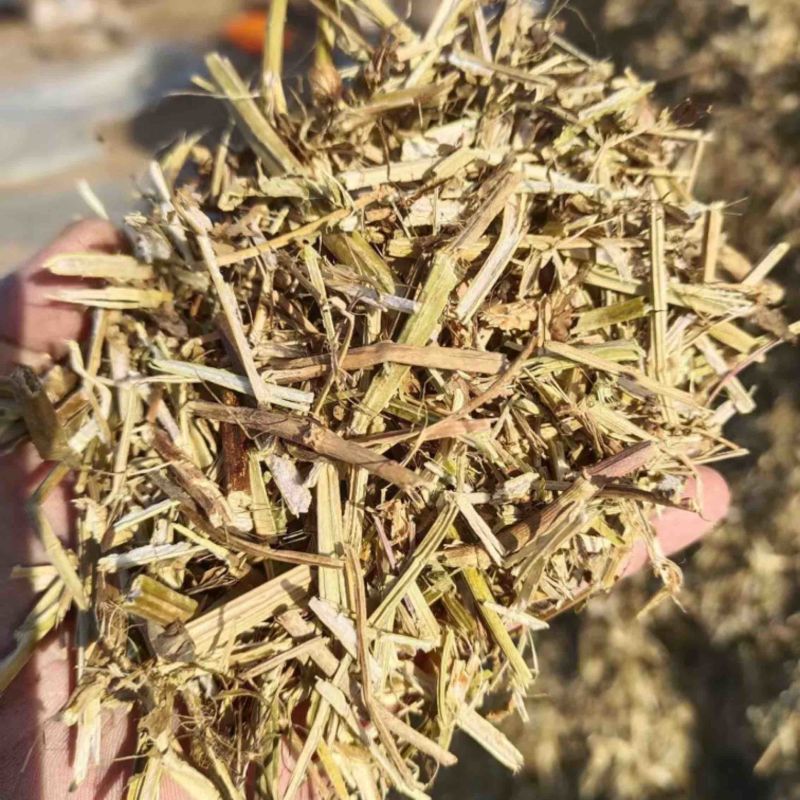 风选花生秧草段、无土无膜量大从优