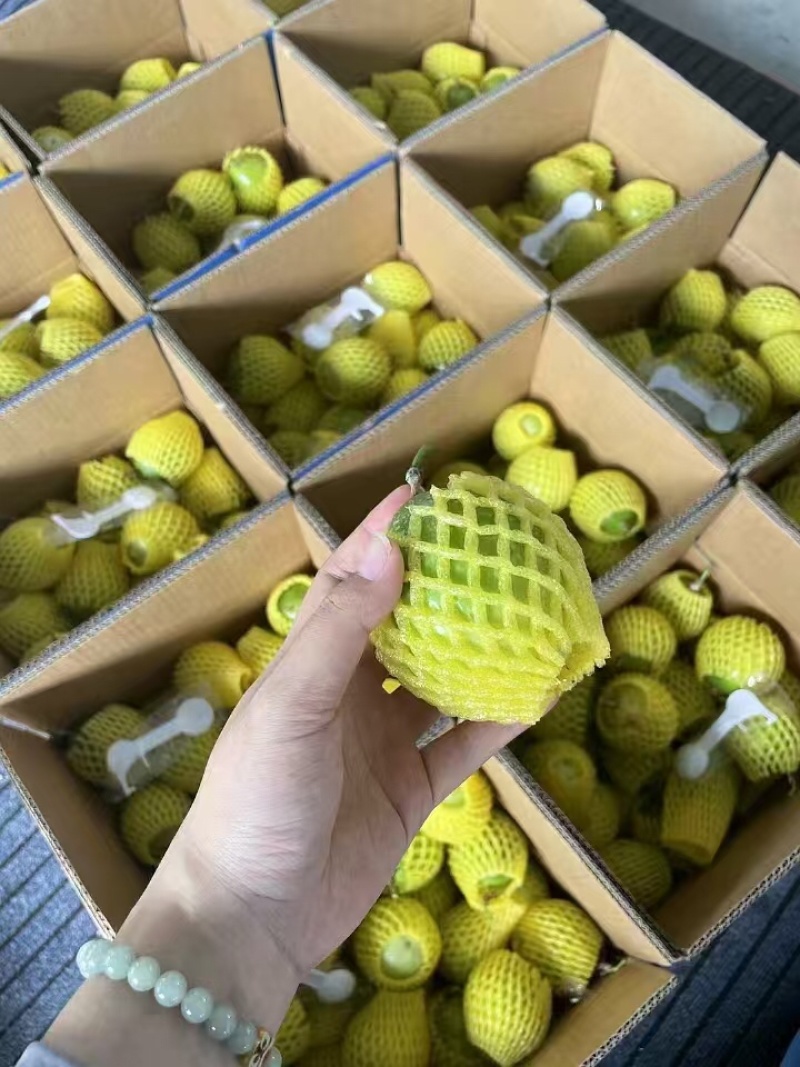 百香果/广西百香果/量大价优/一件起批/欢迎