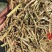 风选花生秧草段、无土无膜量大从优