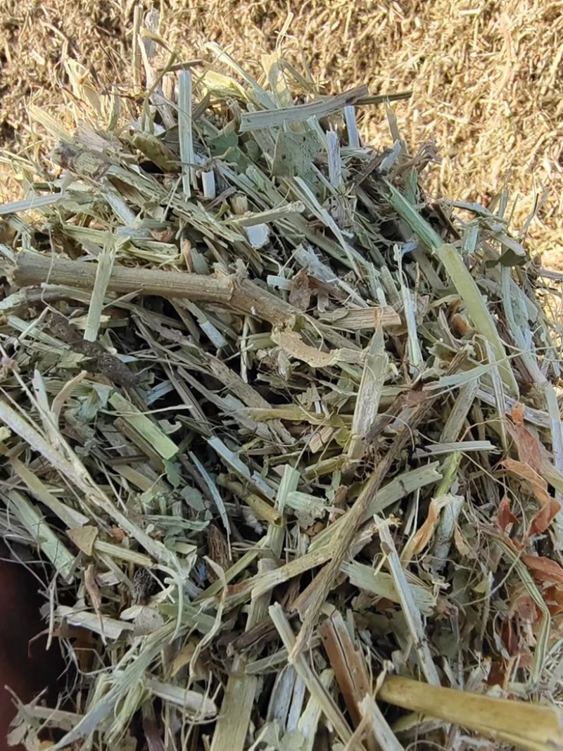 风选花生秧草段、无土无膜量大从优
