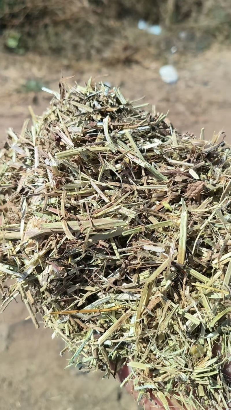 风选花生秧草段、无土无膜量大从优