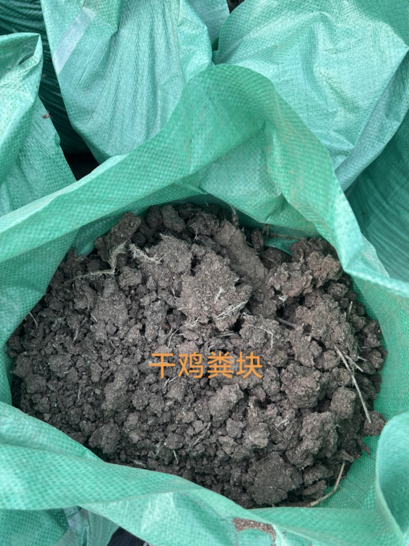 干鸡粪无土无沙.自然晾晒玉米种植大蒜种植茂丰肥业