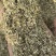 花生秧叶粉花生秧颗粒牛羊饲料客户欢迎来电咨询