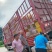 青岛平度秋月梨大量接单品质保证价格美丽量大从优欢迎下单