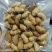 竹笋虫，一手货源，个大饱满，解冻不发黑，长期大量供货。