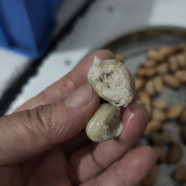 竹笋虫，一手货源，个大饱满，解冻不发黑，长期大量供货。