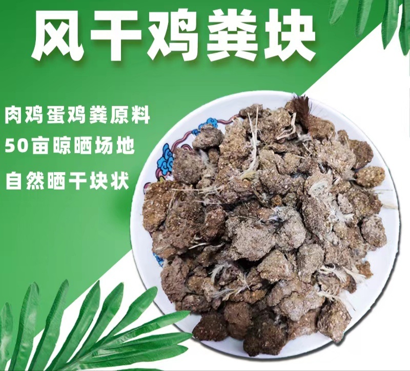 干鸡粪无土无沙.自然晾晒玉米种植大蒜种植茂丰肥业