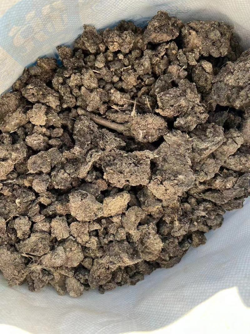 干鸡粪无土无沙.自然晾晒玉米种植大蒜种植茂丰肥业