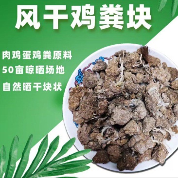 干鸡粪无土无沙.自然晾晒玉米种植大蒜种植茂丰肥业