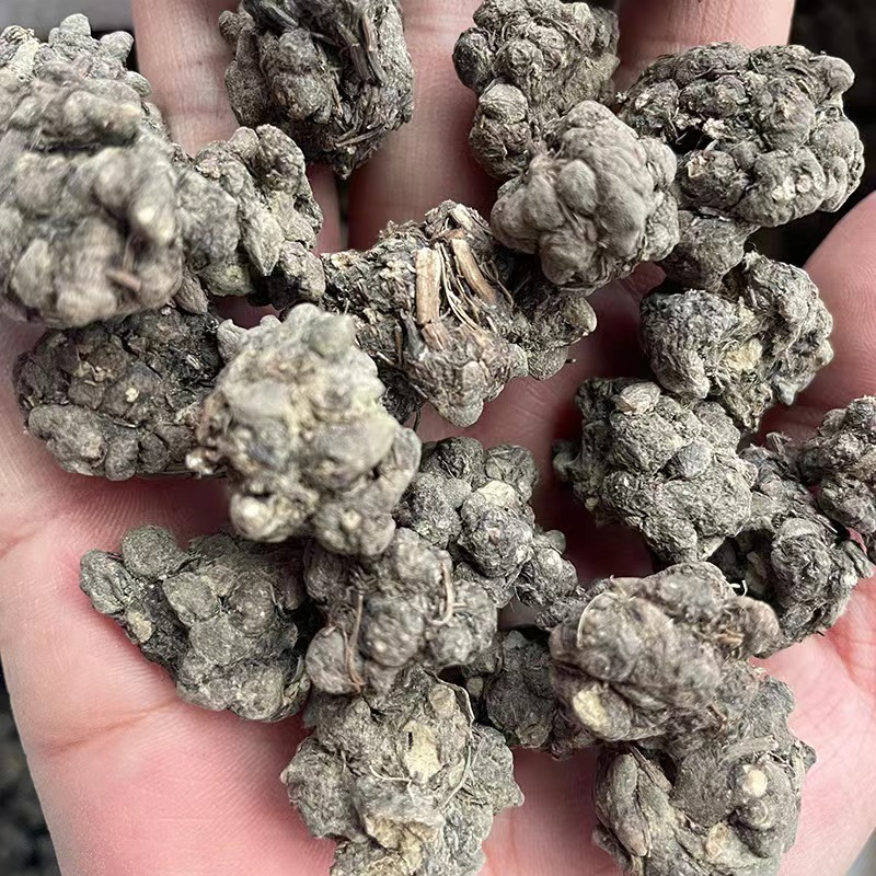 猫爪草厂家直销猫抓草中药猫爪草新鲜水洗猫爪草中药材非三散