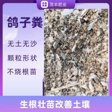 风干鸽子粪无盐无碱瓜果蔬菜通用茂丰肥业