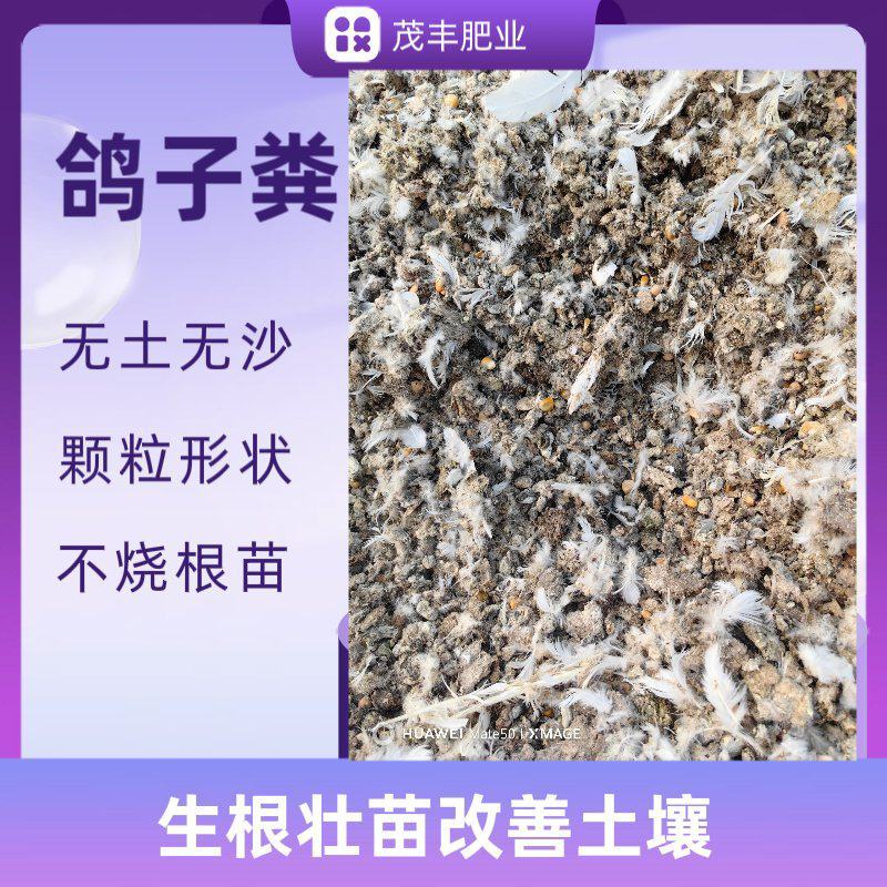 风干鸽子粪无盐无碱瓜果蔬菜通用茂丰肥业