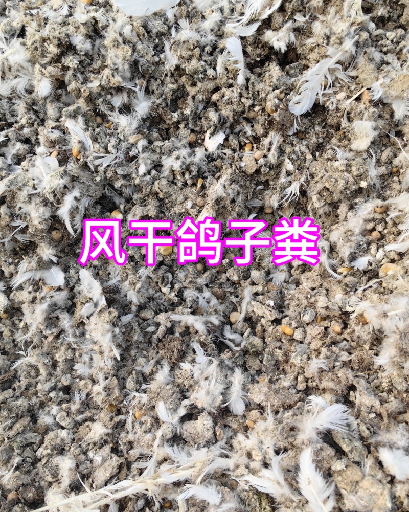 风干鸽子粪无盐无碱瓜果蔬菜通用茂丰肥业