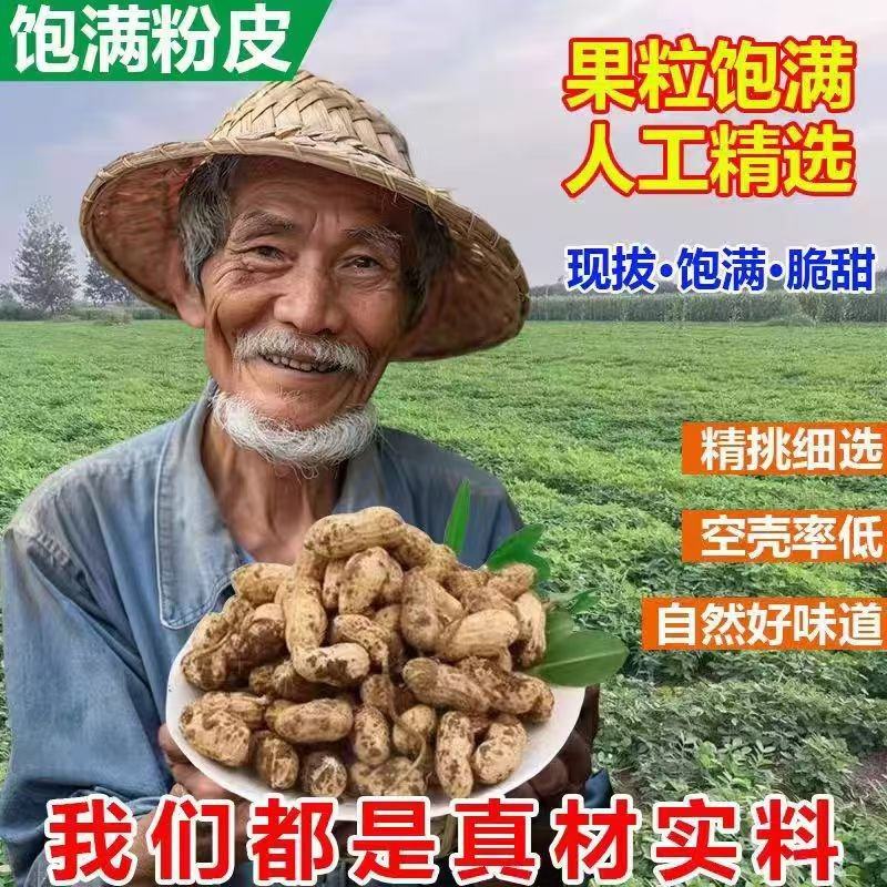 湿花生/白沙花生/鲜花生/宿迁花生/自家种植/整车发货