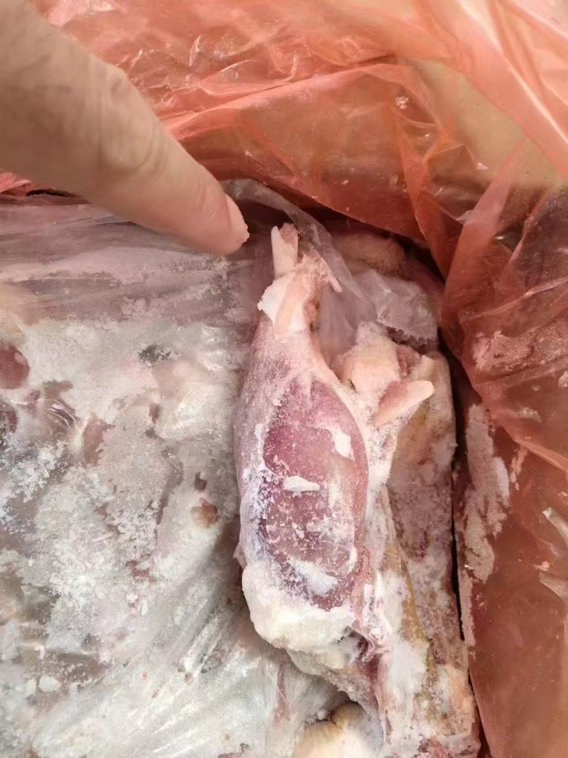 鸭边腿